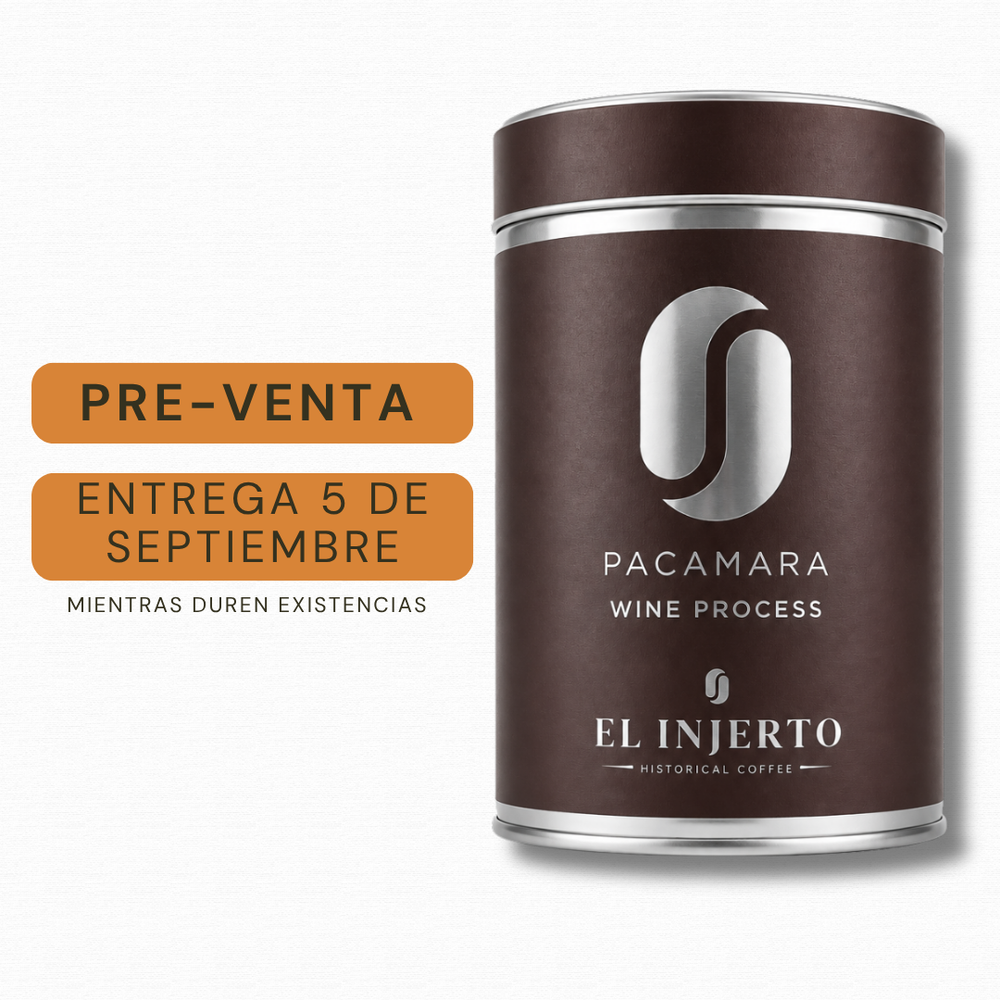 Pacamara Wine Process 300gr