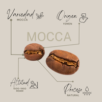 Mocca-Natural-Edición Limitada