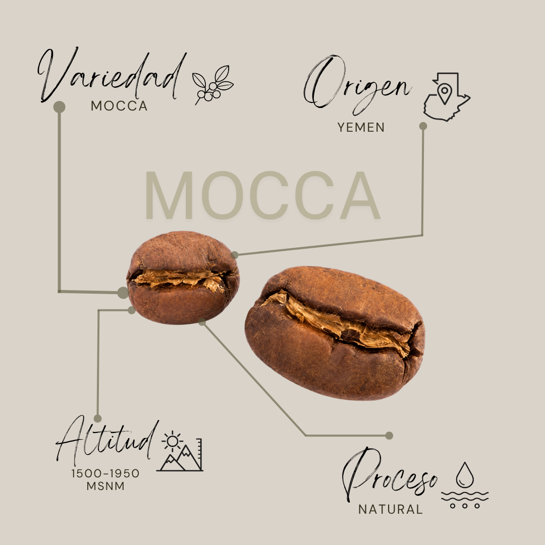 Mocca-Natural-Edición Limitada