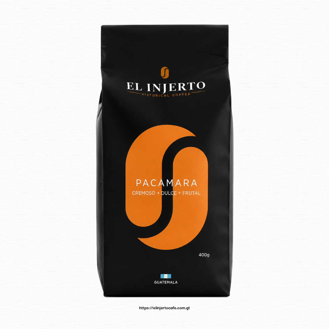 Pacamara