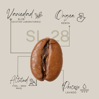 SL-28