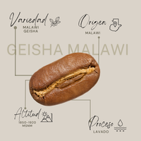 Geisha Malawi