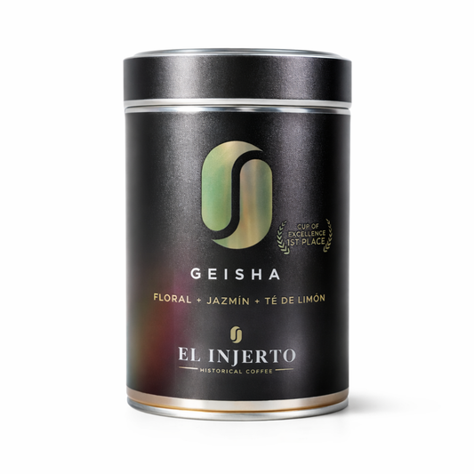 Geisha G1