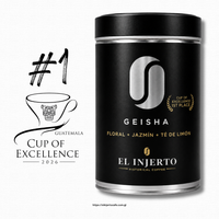 Geisha G1