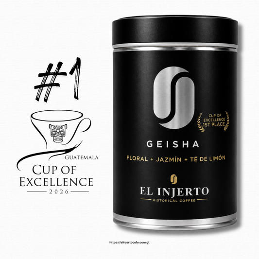 Geisha G1