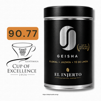 Geisha G1