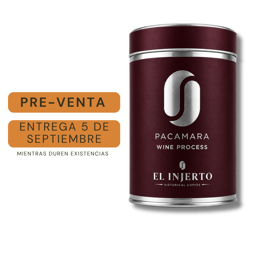 Pacamara-Wine Process 300gr (PRE-VENTA)